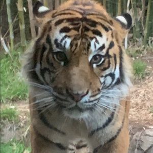 Meet your Posher, Estela